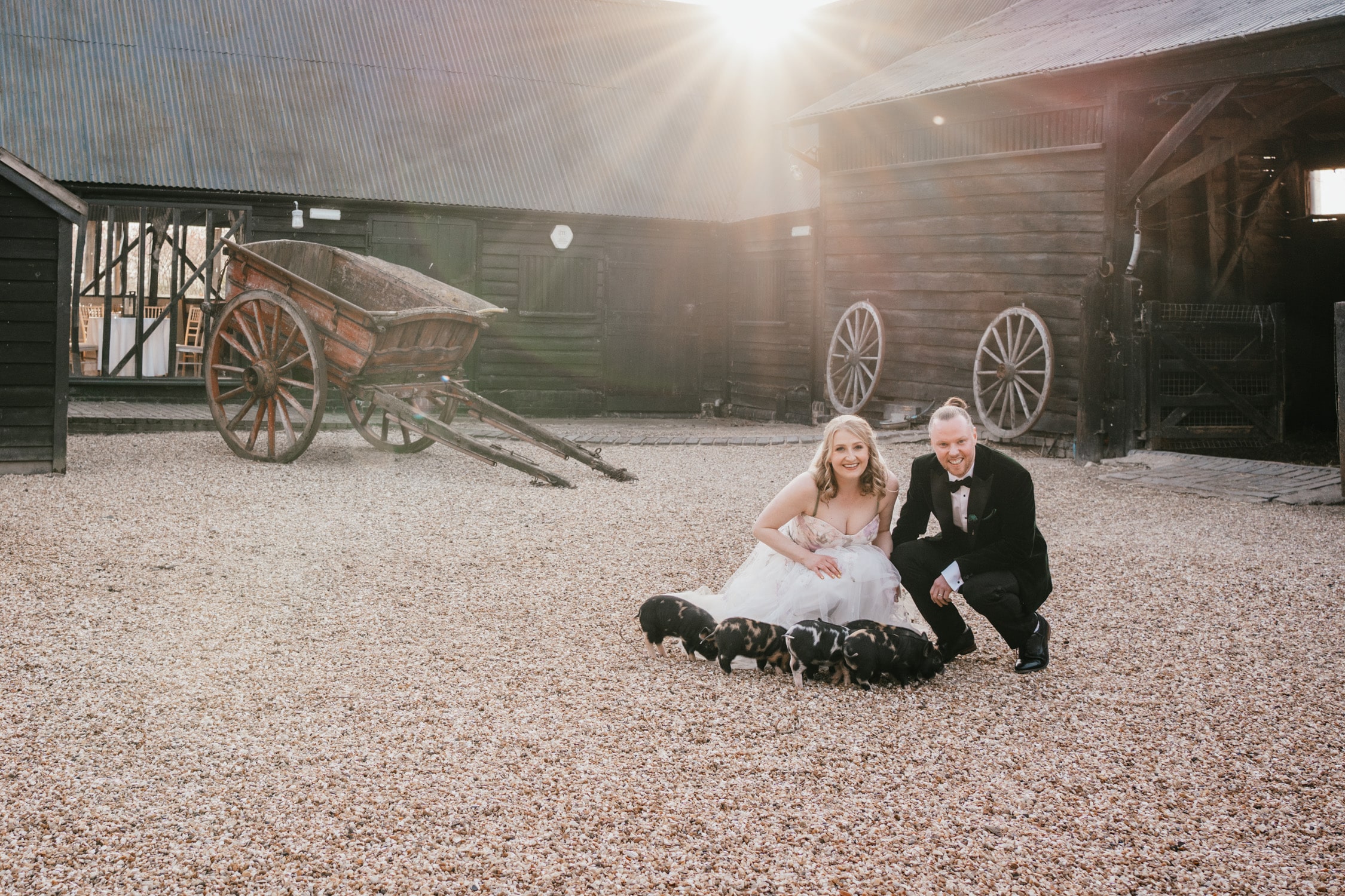 Couple with pigs at a farm