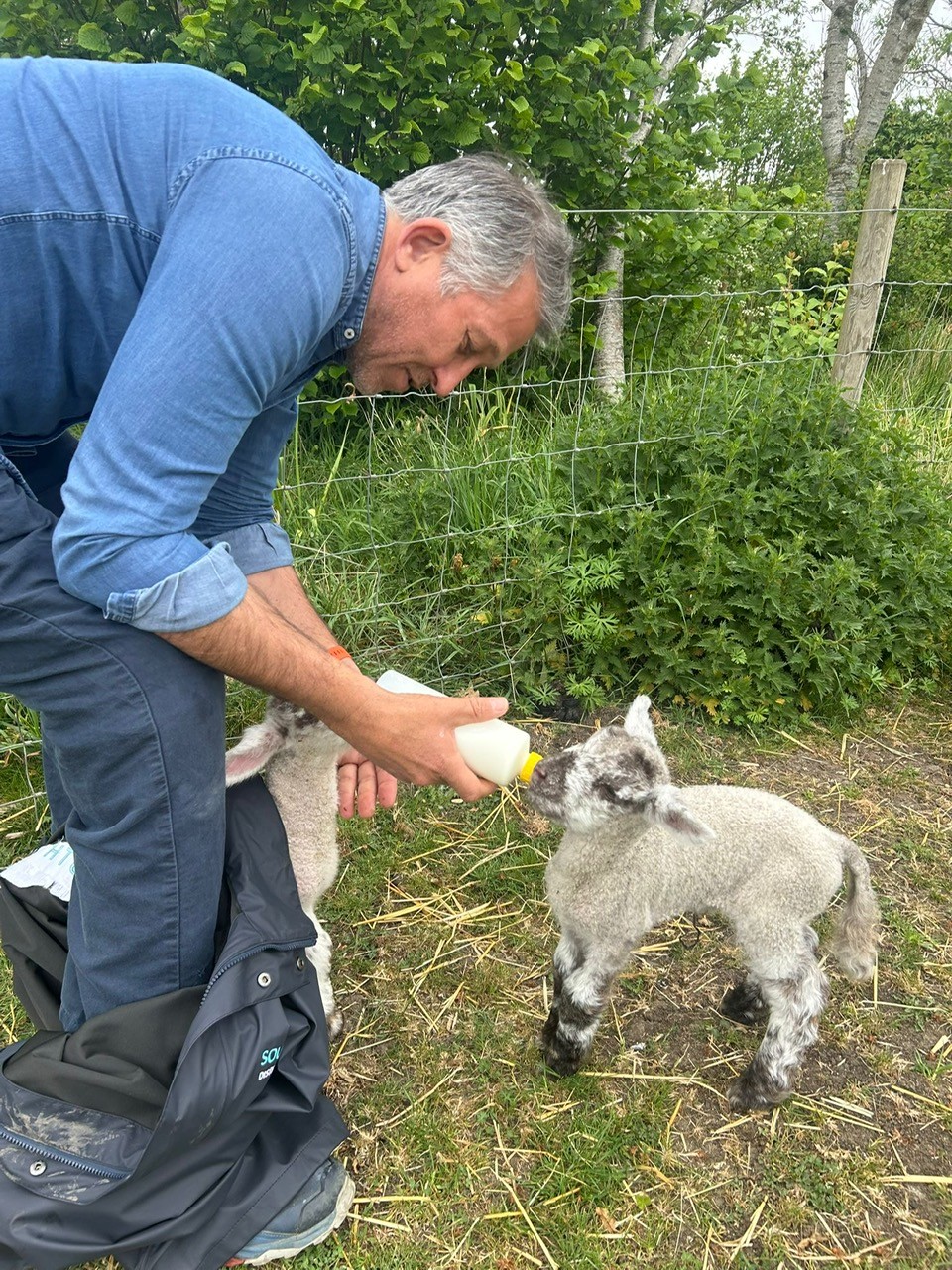 Woman feeding a baby animal.